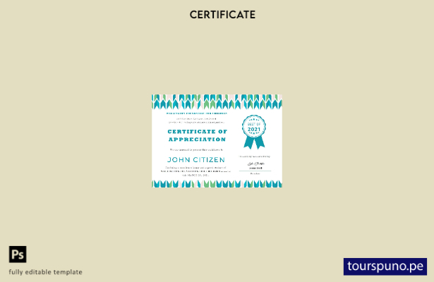 Plantilla de certificado de reconocimiento estudiantil de EE. UU. lista para imp